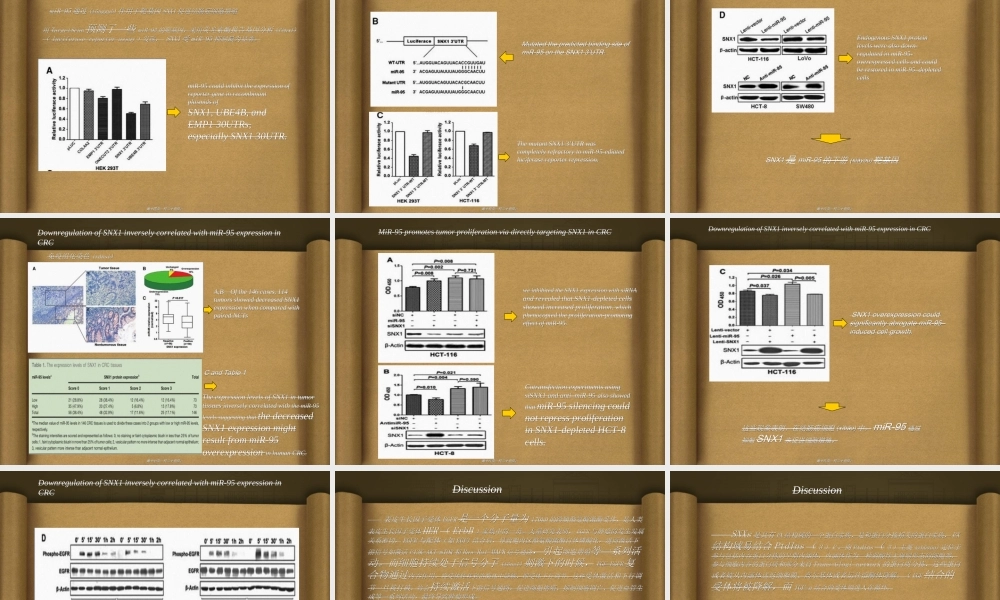 2022年医学专题—王婷婷--miR-95通过靶标SNX1促进结肠癌细胞增殖修改.ppt