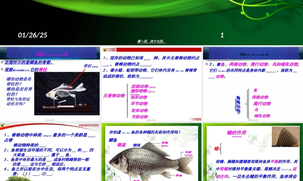 2022年医学专题—胸鳍腹鳍单鳍臀鳍尾鳍(1).ppt