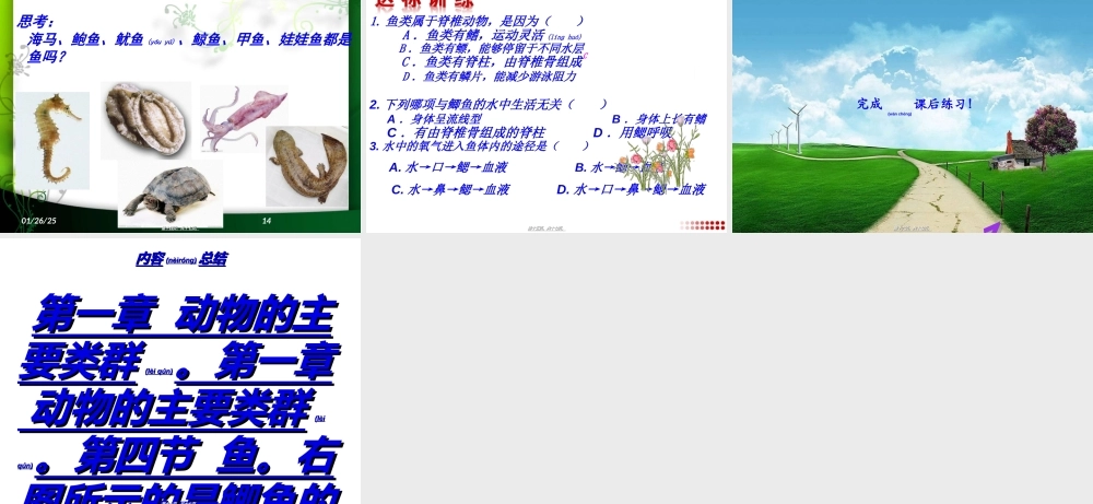 2022年医学专题—胸鳍腹鳍单鳍臀鳍尾鳍(1).ppt