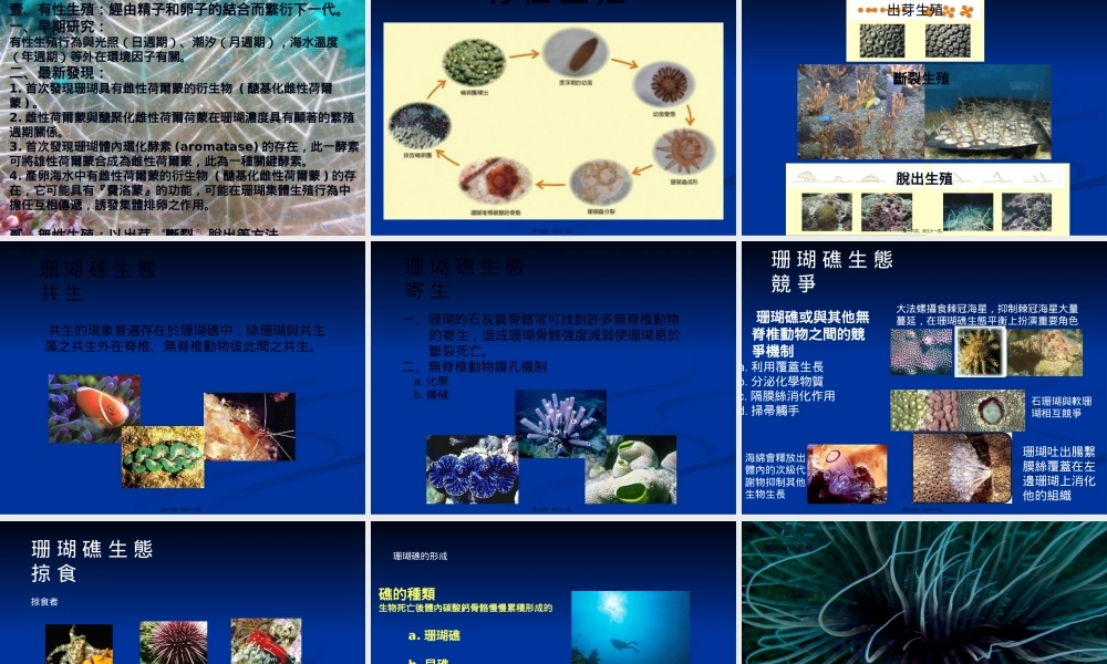 大多数的石珊瑚体内都有一种共生的单细胞藻类.pptx