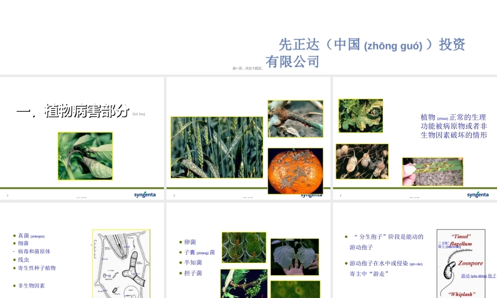 2022年医学专题—病害分类与农药使用技术素材(1).ppt