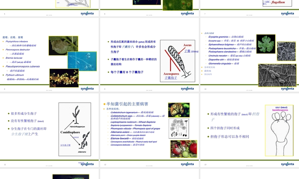 2022年医学专题—病害分类与农药使用技术素材(1).ppt