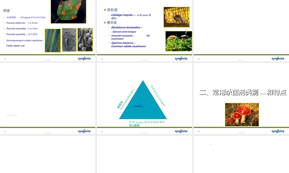 2022年医学专题—病害分类与农药使用技术素材(1).ppt