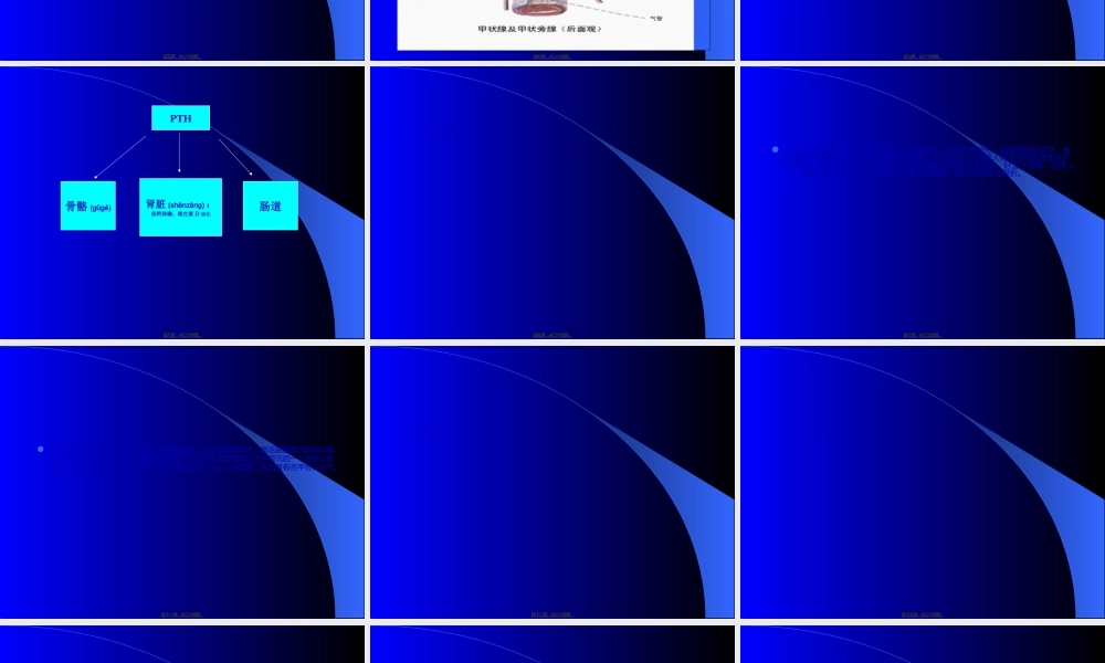 2022年医学专题—甲状旁腺.ppt
