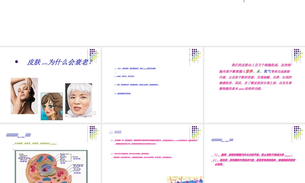 2022年医学专题—皮肤细胞美容学.ppt