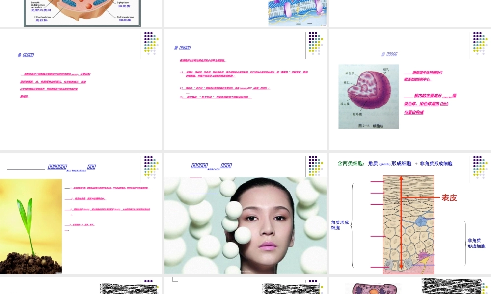 2022年医学专题—皮肤细胞美容学.ppt