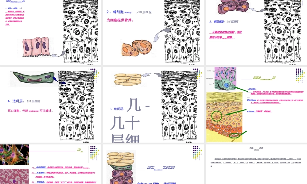 2022年医学专题—皮肤细胞美容学.ppt