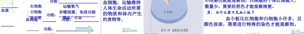 2022年医学专题—第一节--流动的组织——血液.ppt