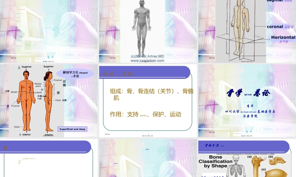 2022年医学专题—第一章1+绪论、骨总、全身骨.ppt