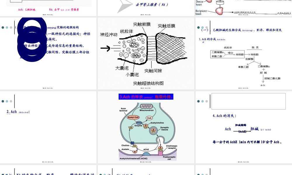 2022年医学专题—第5章-传出神经系统药药理概论(1).ppt