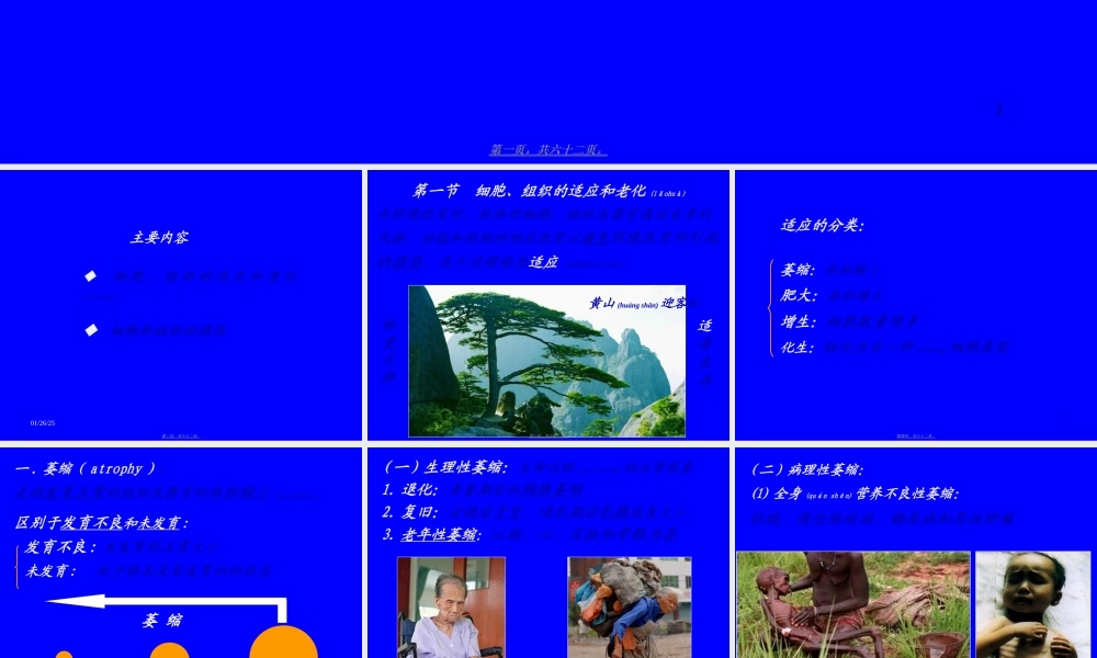 2022年医学专题—第2章-细胞和组织的适应与损伤(1).ppt