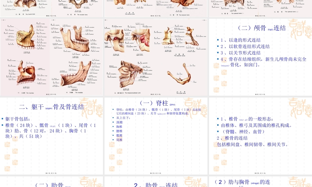2022年医学专题—第二节-人体主要的骨及骨连结(1).pptx