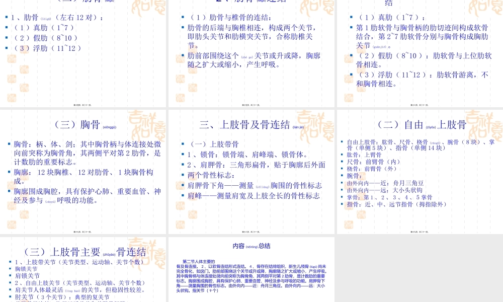 2022年医学专题—第二节-人体主要的骨及骨连结(1).pptx