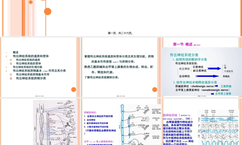 2022年医学专题—第六章传出神经系统药理概论2011-09-10..ppt