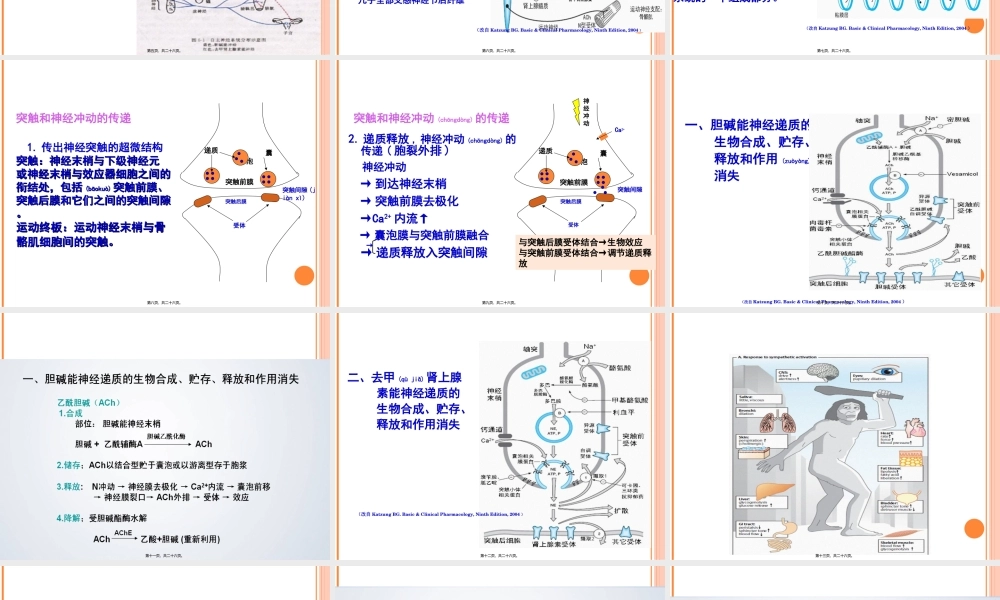 2022年医学专题—第六章传出神经系统药理概论2011-09-10..ppt