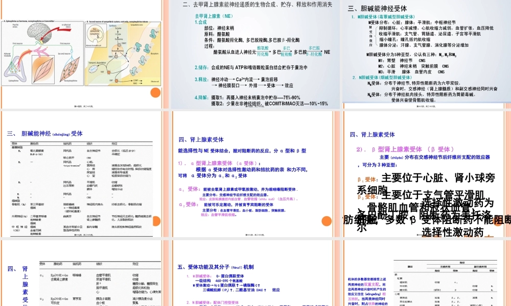 2022年医学专题—第六章传出神经系统药理概论2011-09-10..ppt