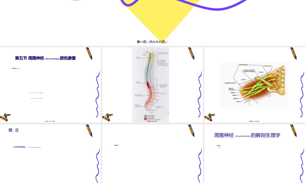2022年医学专题—第四章-神经系统常见病损的康复-第五节-周围神经损伤康复.ppt