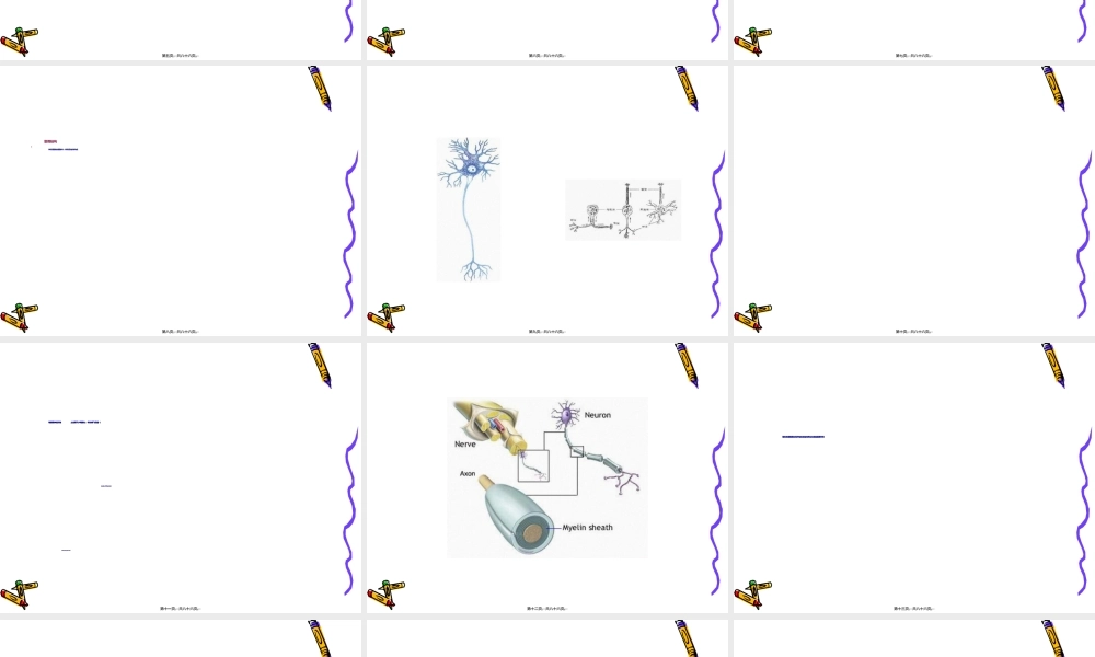 2022年医学专题—第四章-神经系统常见病损的康复-第五节-周围神经损伤康复.ppt