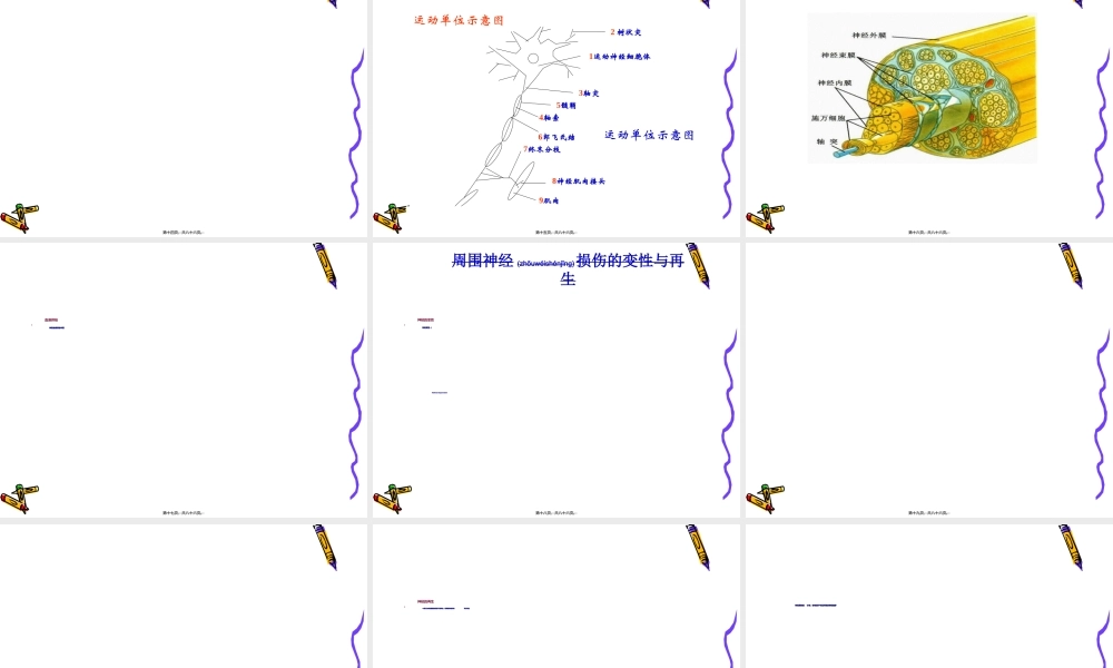 2022年医学专题—第四章-神经系统常见病损的康复-第五节-周围神经损伤康复.ppt