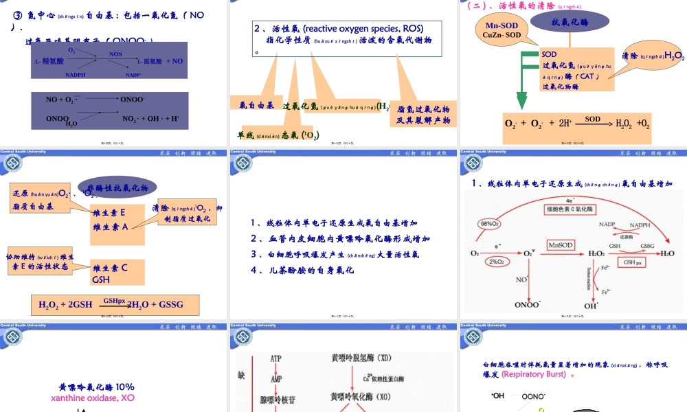 2022年医学专题—缺血再灌注-20171008-以病例为引导.ppt