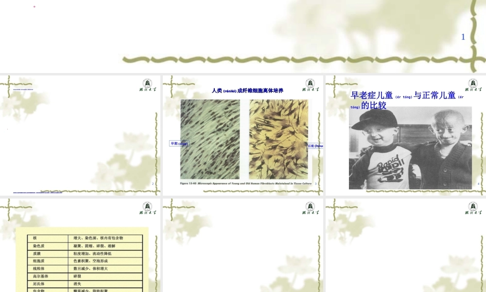 2022年医学专题—细胞的程序化死亡.ppt