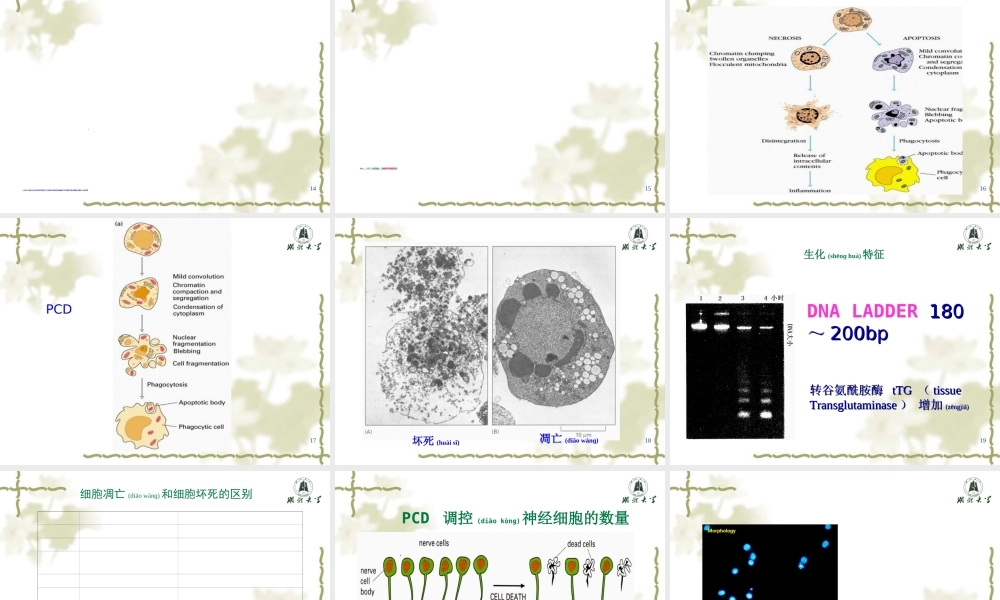 2022年医学专题—细胞的程序化死亡.ppt