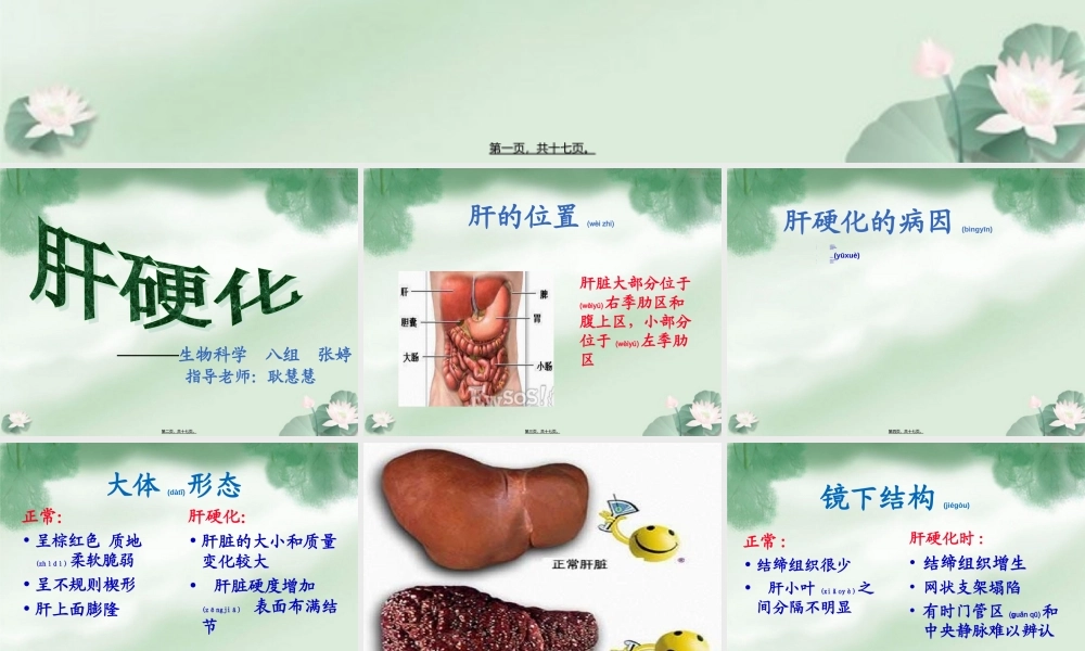 2022年医学专题—肝的大体形态及镜下结构.ppt