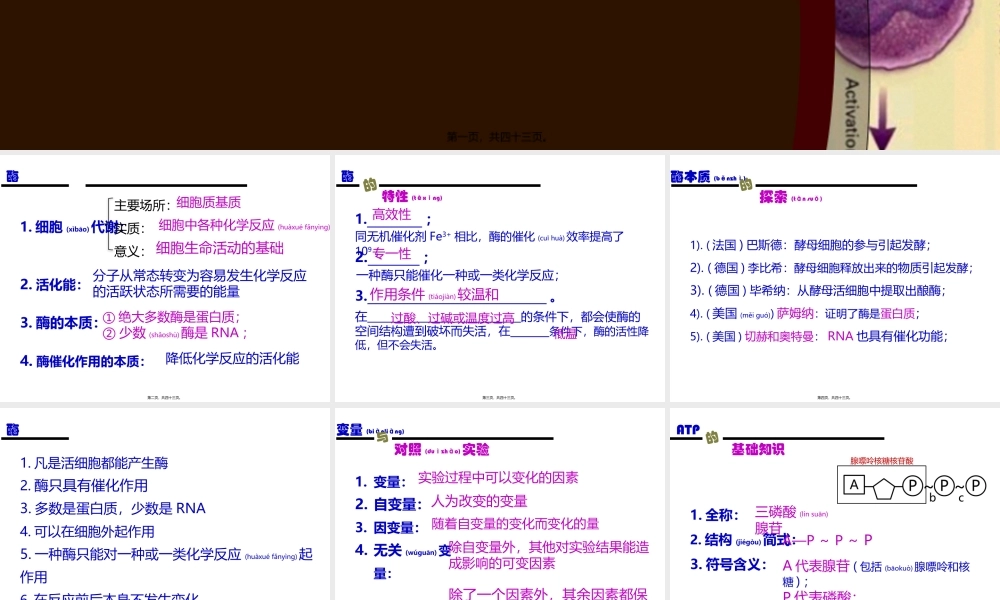 2022年医学专题—细胞的能量供应和利用.pptx