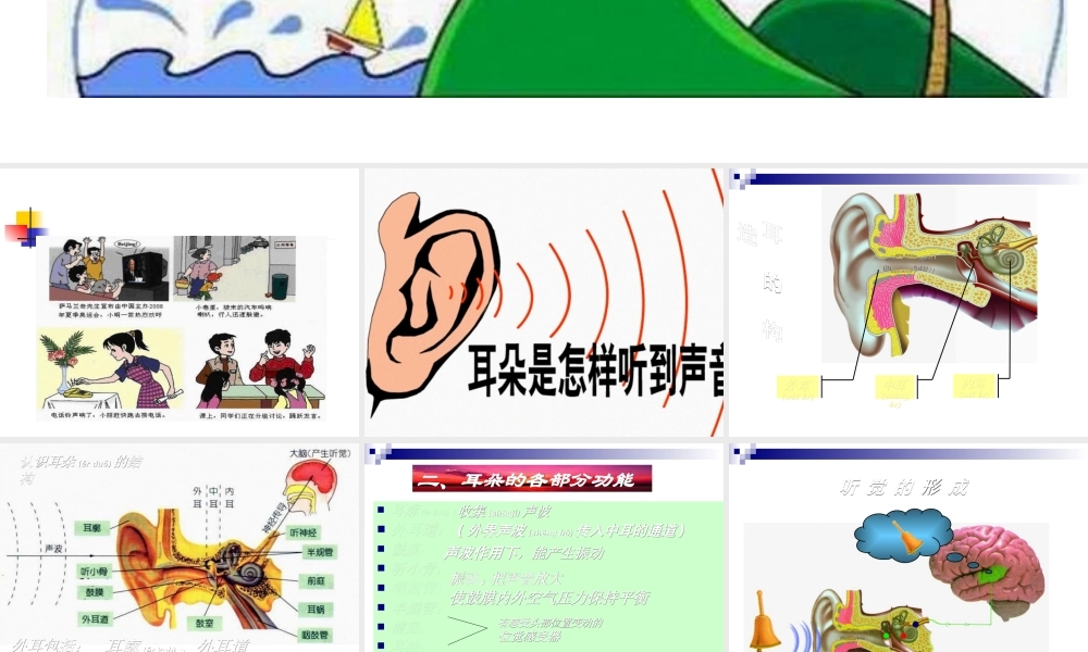 2022年医学专题—耳朵的结构及功能概况.ppt