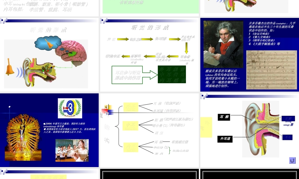 2022年医学专题—耳朵的结构及功能概况.ppt