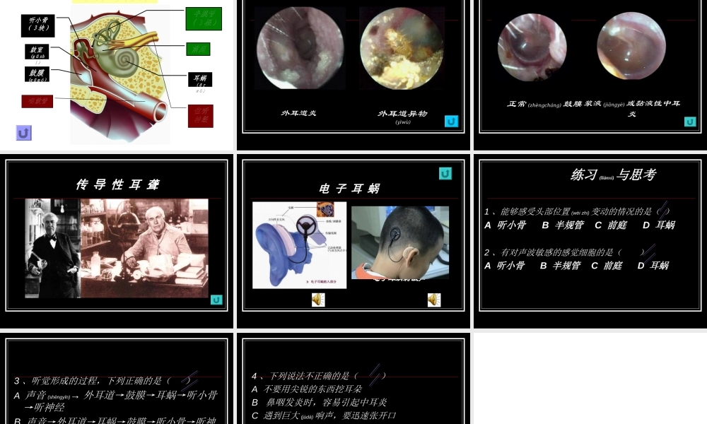 2022年医学专题—耳朵的结构及功能概况.ppt