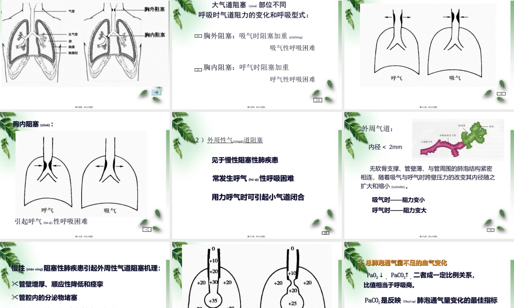 2022年医学专题—肺功能障碍.ppt