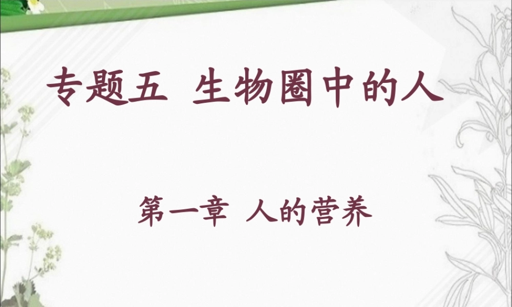 人的营养-复习.pptx