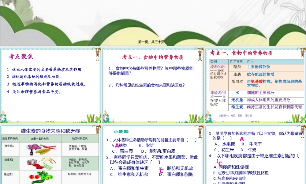 人的营养-复习.pptx