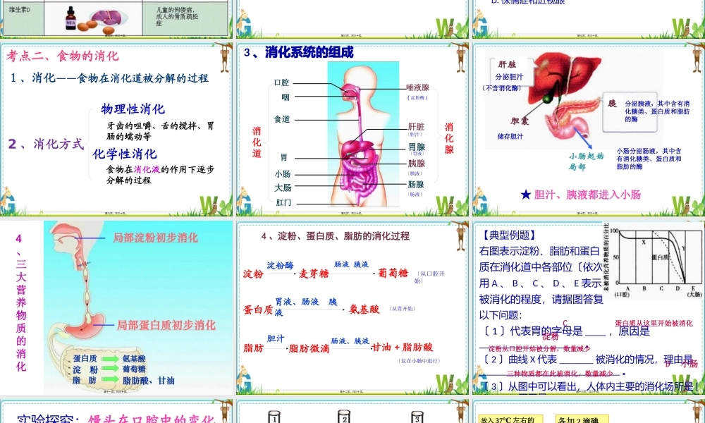 人的营养-复习.pptx