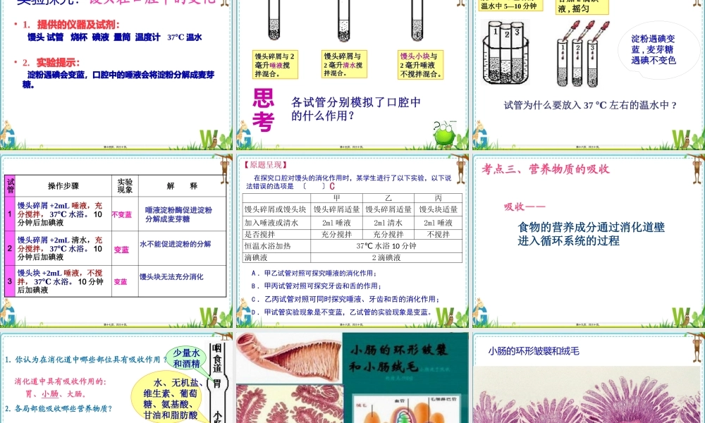 人的营养-复习.pptx