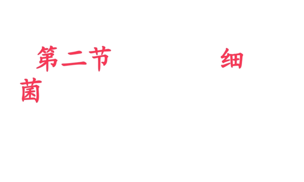 人教版八上《细菌》.pptx