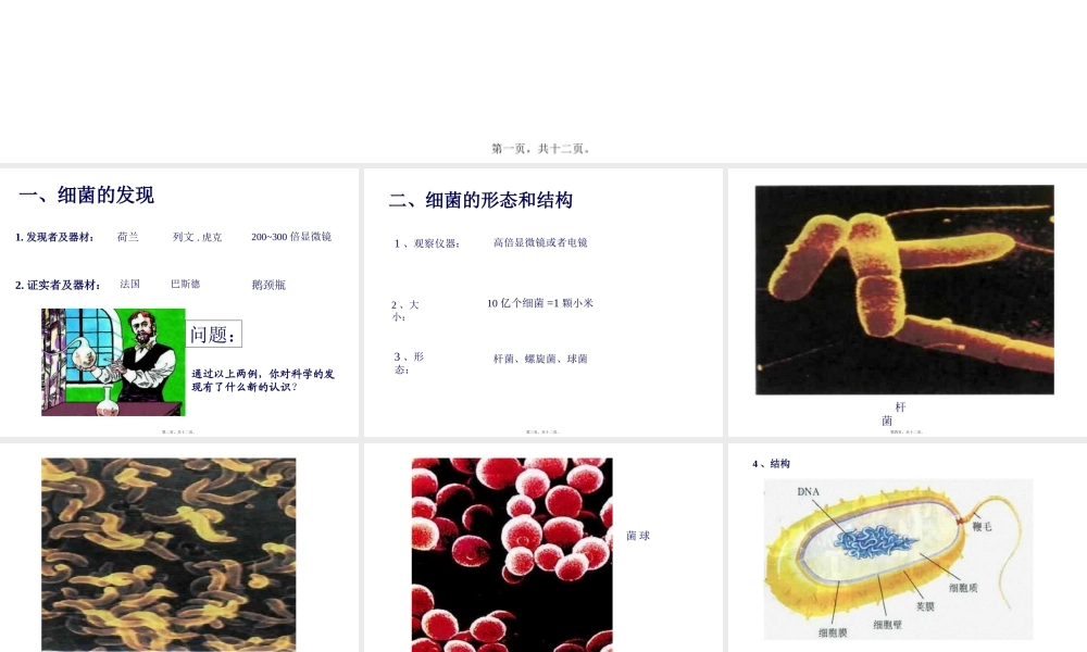 人教版八上《细菌》.pptx