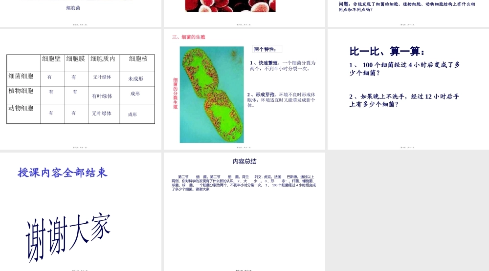 人教版八上《细菌》.pptx