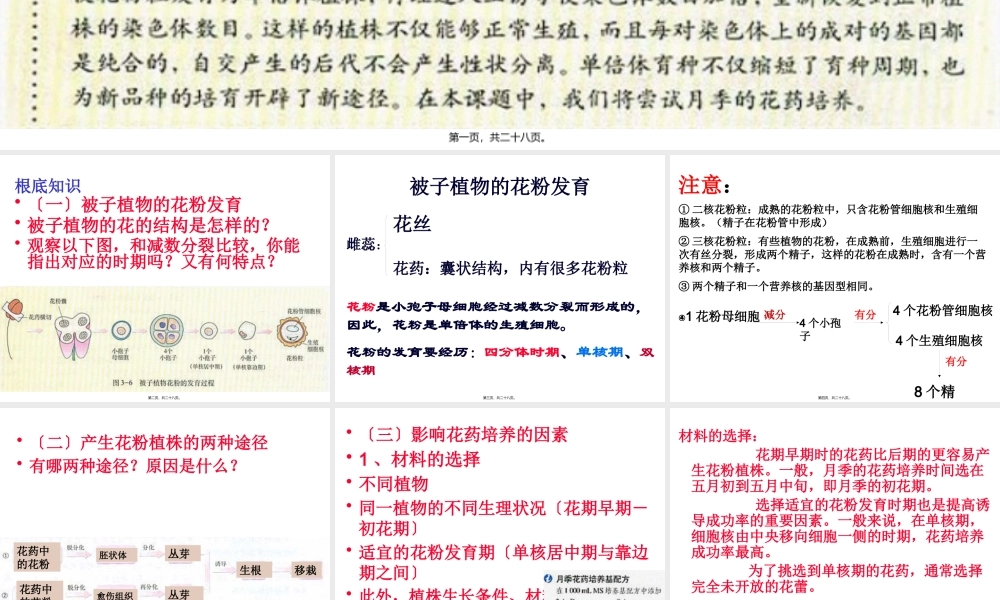 《月季的花药培养》zjc资料.pptx