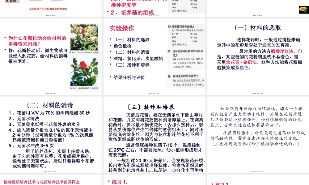 《月季的花药培养》zjc资料.pptx