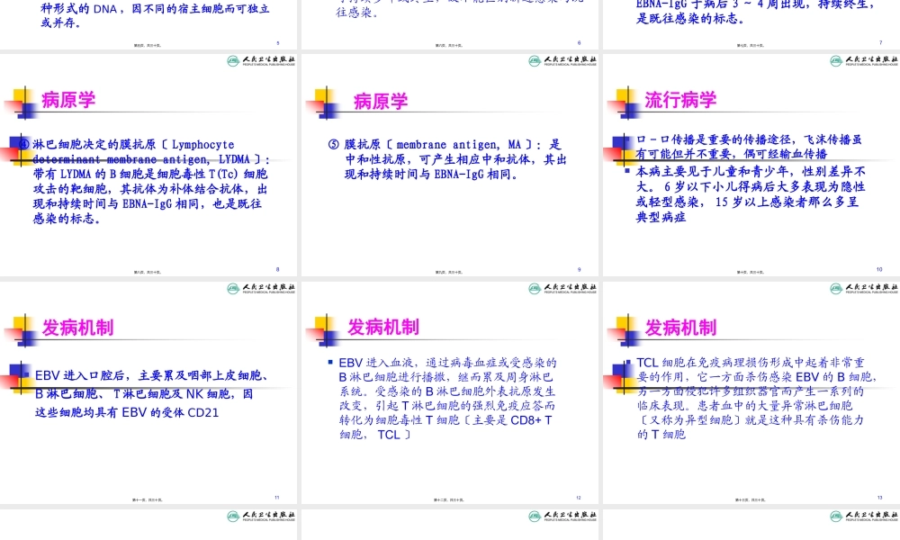 传染性单核细胞增多症-(1).pptx