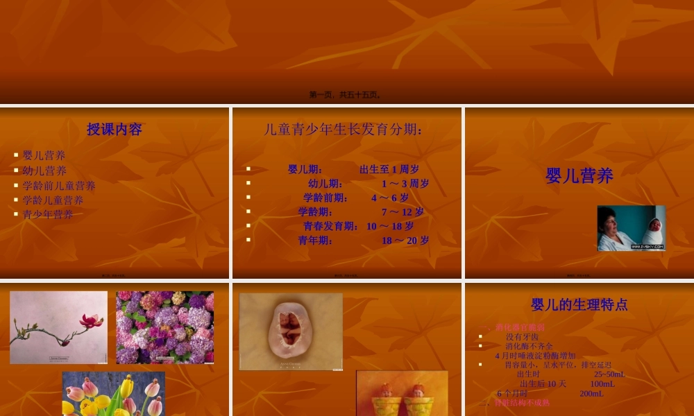 儿童青少年合理营养与膳食.pptx