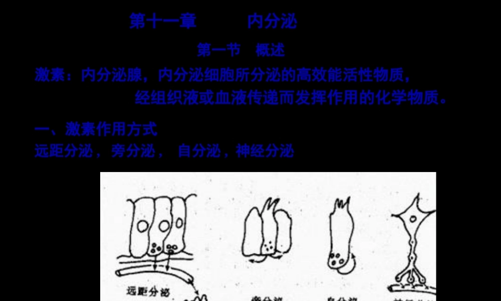 促甲状腺激素释放激素.pptx