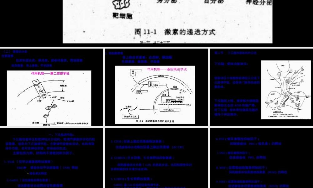 促甲状腺激素释放激素.pptx