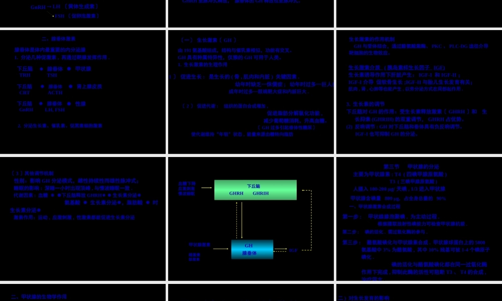 促甲状腺激素释放激素.pptx