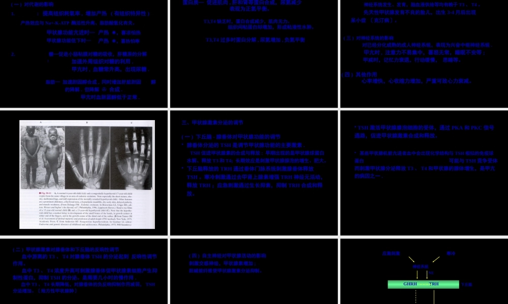 促甲状腺激素释放激素.pptx