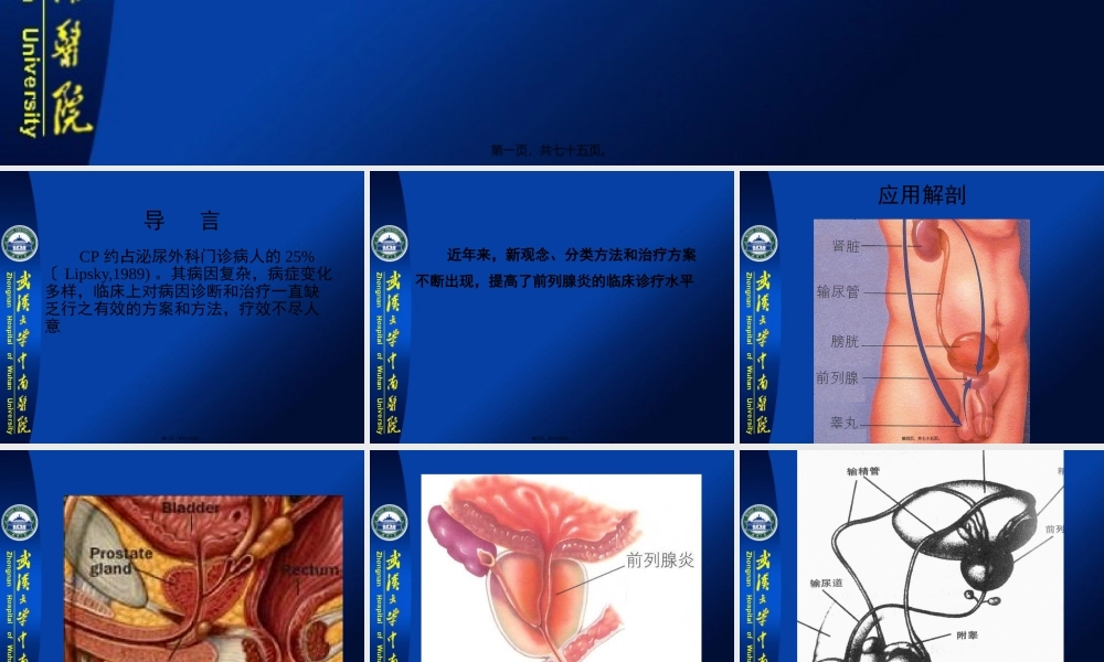 前列腺炎诊疗进展(郑新民讲稿).pptx