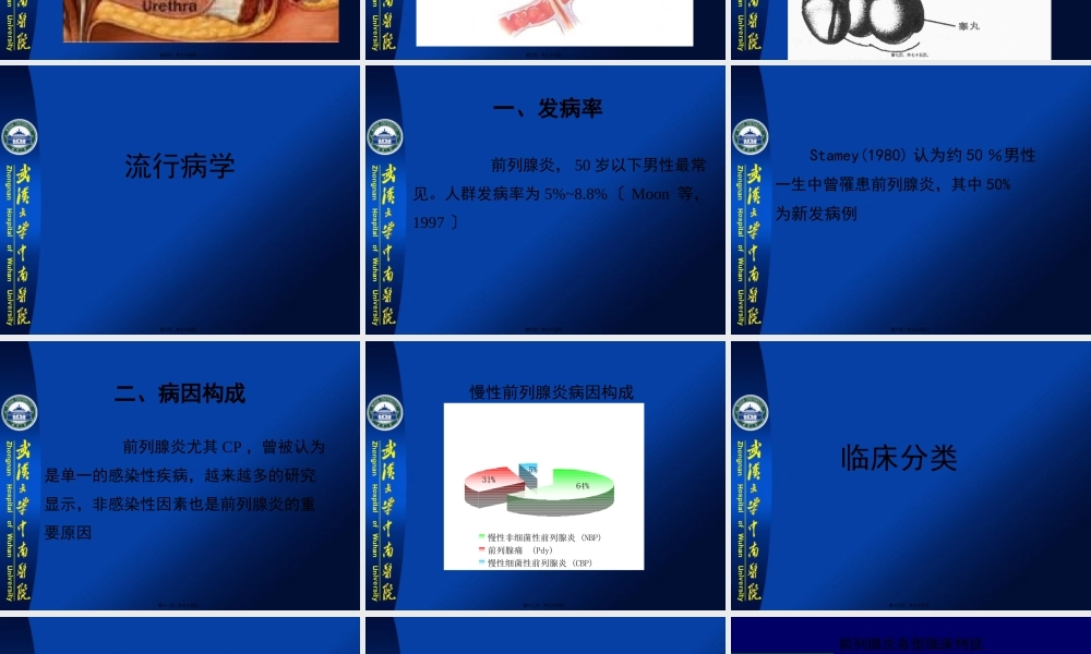 前列腺炎诊疗进展(郑新民讲稿).pptx