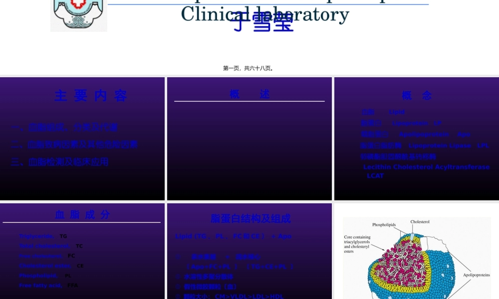 北医八年制血脂2014.pptx